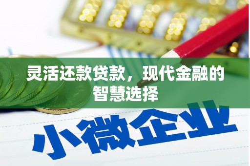 南安灵活还款贷款，现代金融的智慧选择