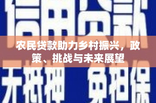 南安农民贷款助力乡村振兴，政策、挑战与未来展望