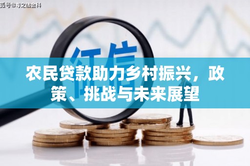 南安农民贷款助力乡村振兴，政策、挑战与未来展望