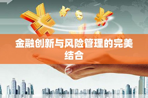 南安金融创新与风险管理的完美结合
