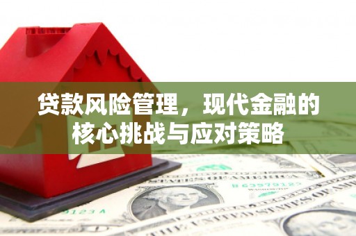 南安贷款风险管理，现代金融的核心挑战与应对策略