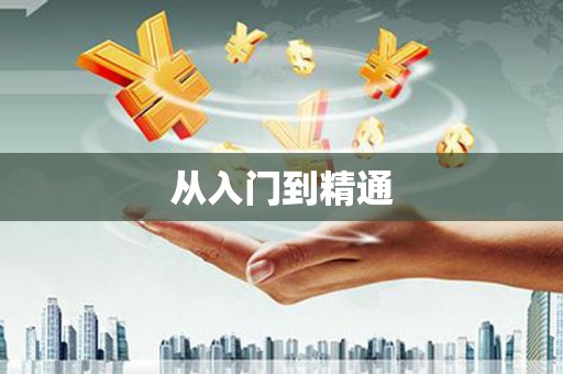 南安从入门到精通