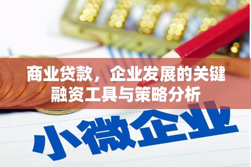 南安商业贷款，企业发展的关键融资工具与策略分析