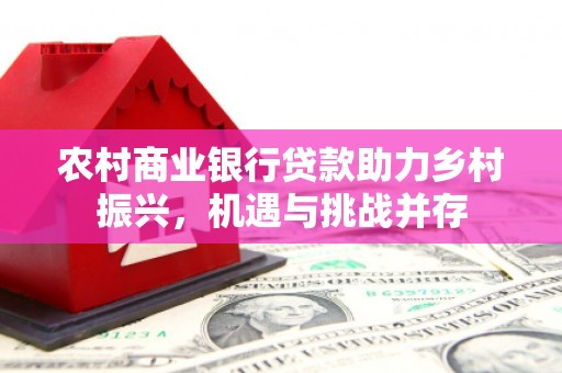 南安农村商业银行贷款助力乡村振兴，机遇与挑战并存