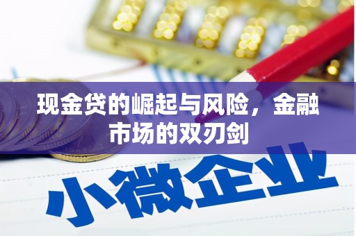 南安现金贷的崛起与风险，金融市场的双刃剑