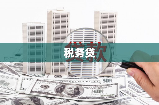 南安税务贷
