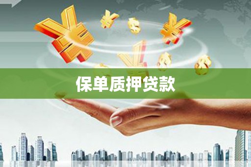 南安保单质押贷款