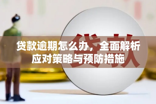 南安贷款逾期怎么办，全面解析应对策略与预防措施