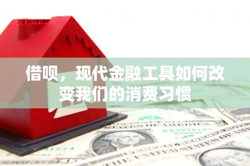南安借呗，现代金融工具如何改变我们的消费习惯