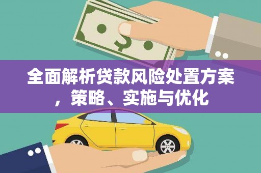 南安全面解析贷款风险处置方案，策略、实施与优化