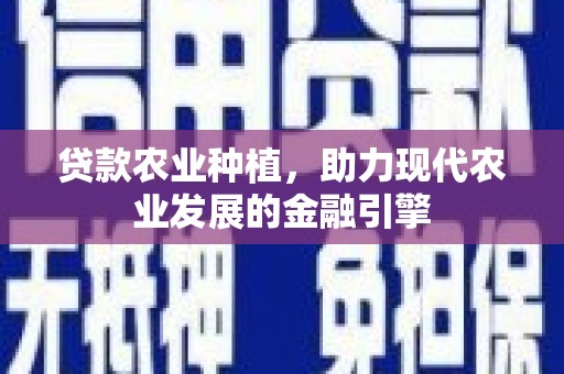 南安贷款农业种植，助力现代农业发展的金融引擎
