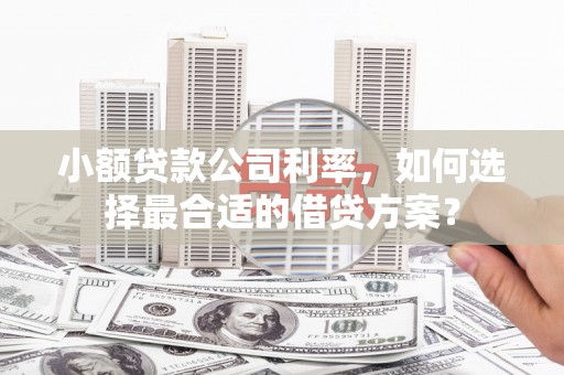 南安小额贷款公司利率，如何选择最合适的借贷方案？