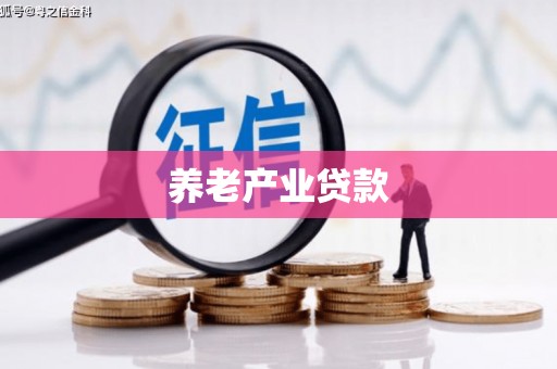 南安养老产业贷款