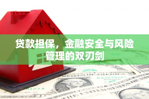 南安贷款担保，金融安全与风险管理的双刃剑