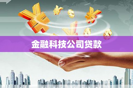 南安金融科技公司贷款