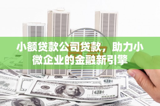 南安小额贷款公司贷款，助力小微企业的金融新引擎