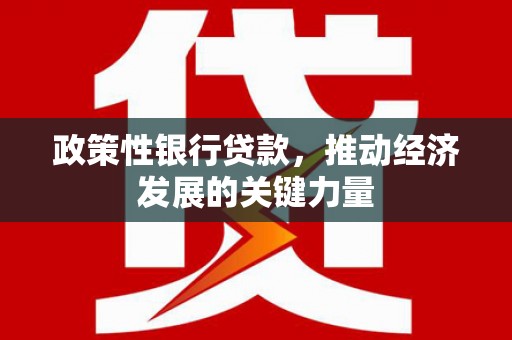 南安政策性银行贷款，推动经济发展的关键力量