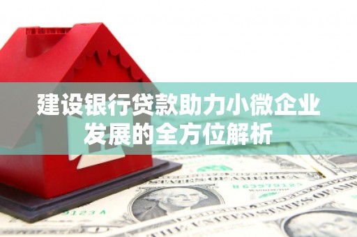 南安建设银行贷款助力小微企业发展的全方位解析