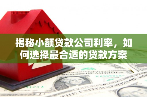 南安揭秘小额贷款公司利率，如何选择最合适的贷款方案
