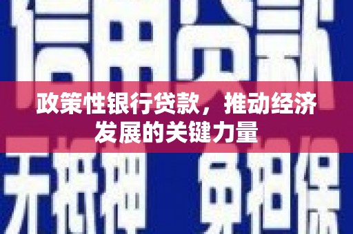 南安政策性银行贷款，推动经济发展的关键力量