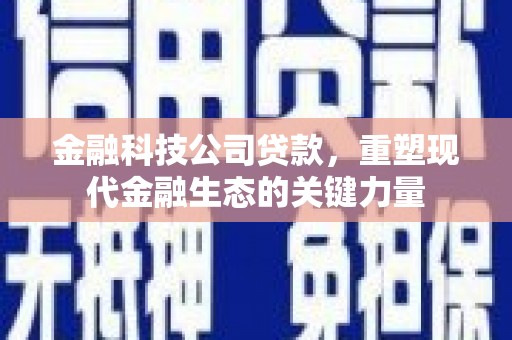 南安金融科技公司贷款，重塑现代金融生态的关键力量