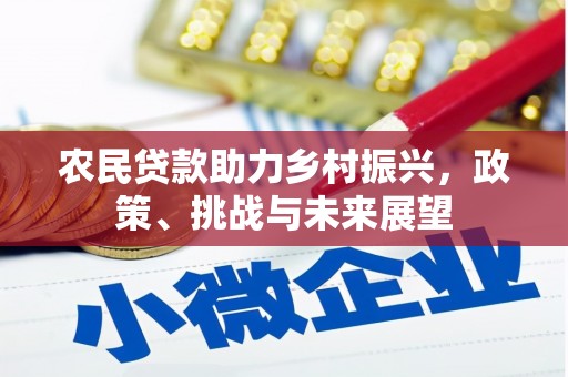 南安农民贷款助力乡村振兴，政策、挑战与未来展望