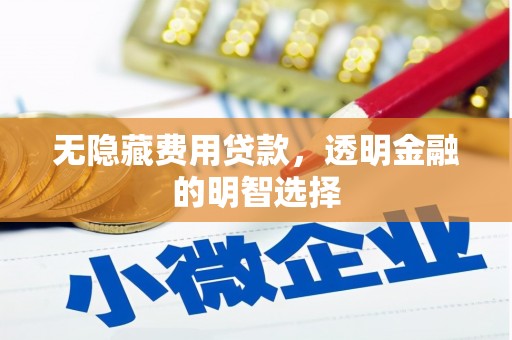 南安无隐藏费用贷款，透明金融的明智选择