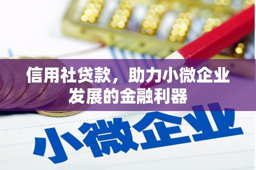 南安信用社贷款，助力小微企业发展的金融利器
