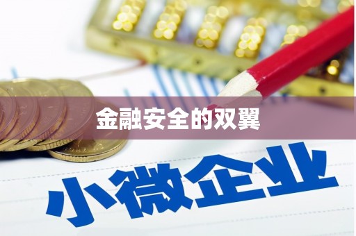 南安金融安全的双翼
