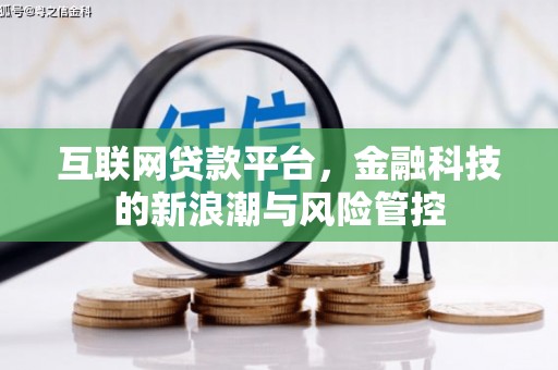南安互联网贷款平台，金融科技的新浪潮与风险管控