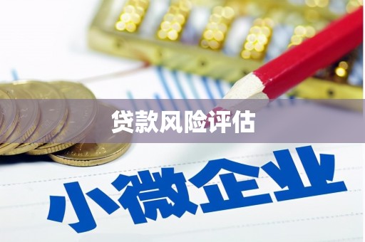 南安贷款风险评估