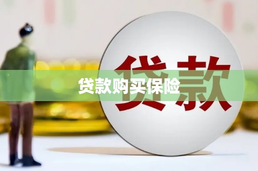南安贷款购买保险