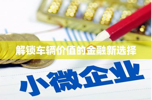 南安解锁车辆价值的金融新选择