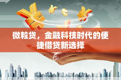 南安微粒贷，金融科技时代的便捷借贷新选择
