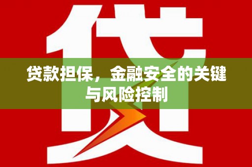 南安贷款担保，金融安全的关键与风险控制