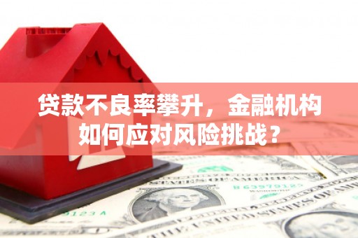 南安贷款不良率攀升，金融机构如何应对风险挑战？