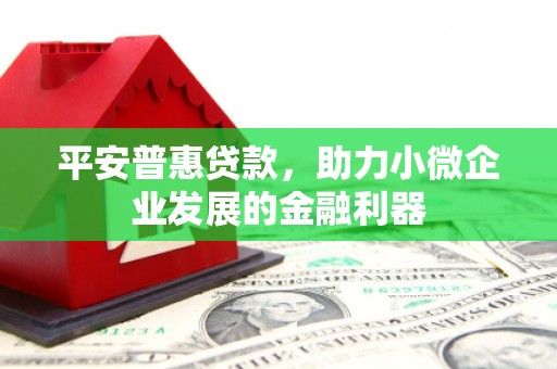 南安平安普惠贷款，助力小微企业发展的金融利器