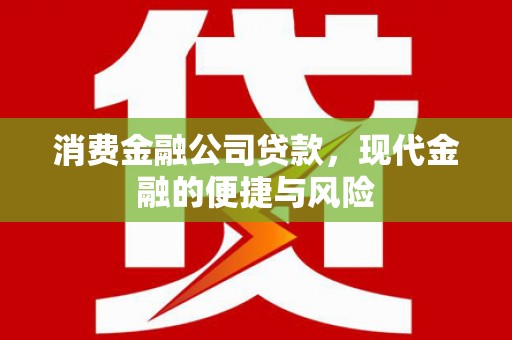 南安消费金融公司贷款，现代金融的便捷与风险