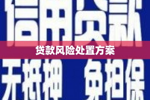 南安贷款风险处置方案