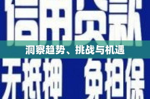 南安洞察趋势、挑战与机遇