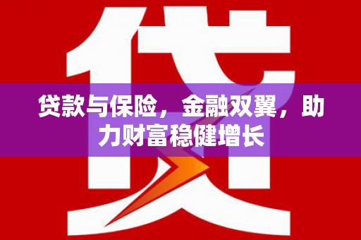 南安贷款与保险，金融双翼，助力财富稳健增长