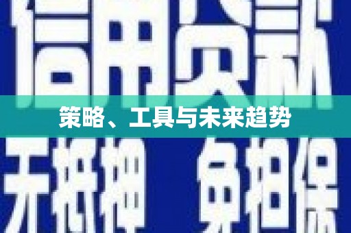 南安策略、工具与未来趋势