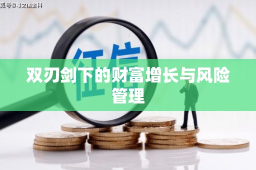 南安双刃剑下的财富增长与风险管理