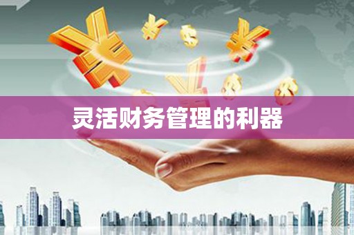 南安灵活财务管理的利器