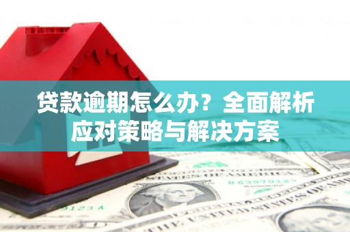 南安贷款逾期怎么办？全面解析应对策略与解决方案