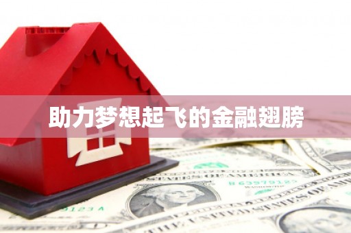 南安助力梦想起飞的金融翅膀