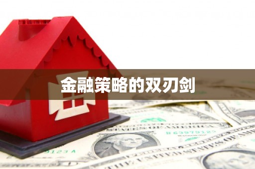 南安金融策略的双刃剑