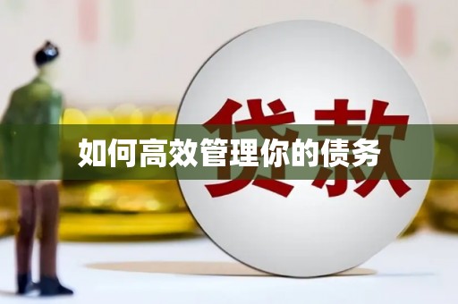 南安如何高效管理你的债务