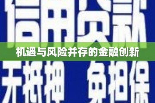 南安机遇与风险并存的金融创新