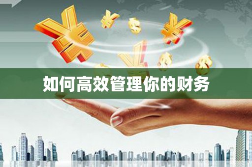 南安如何高效管理你的财务